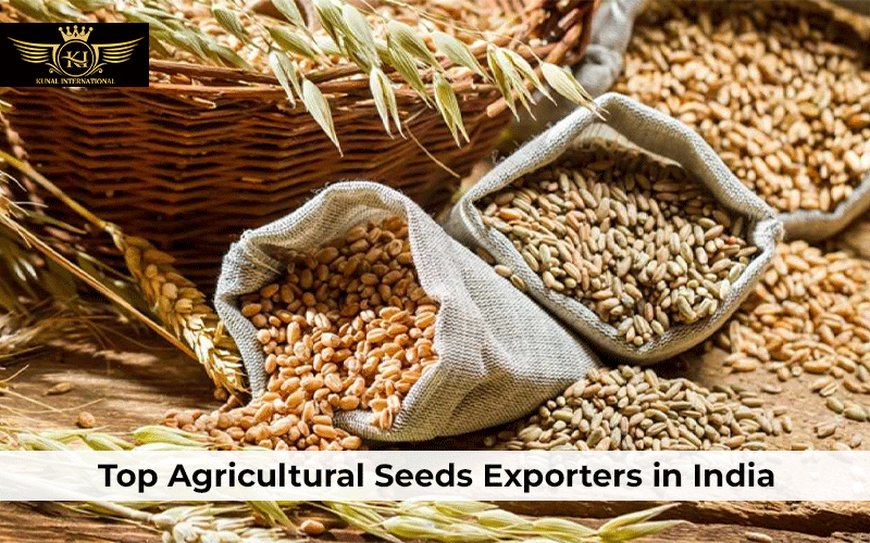 Top-Agricultural-Seeds-exporters-in-india